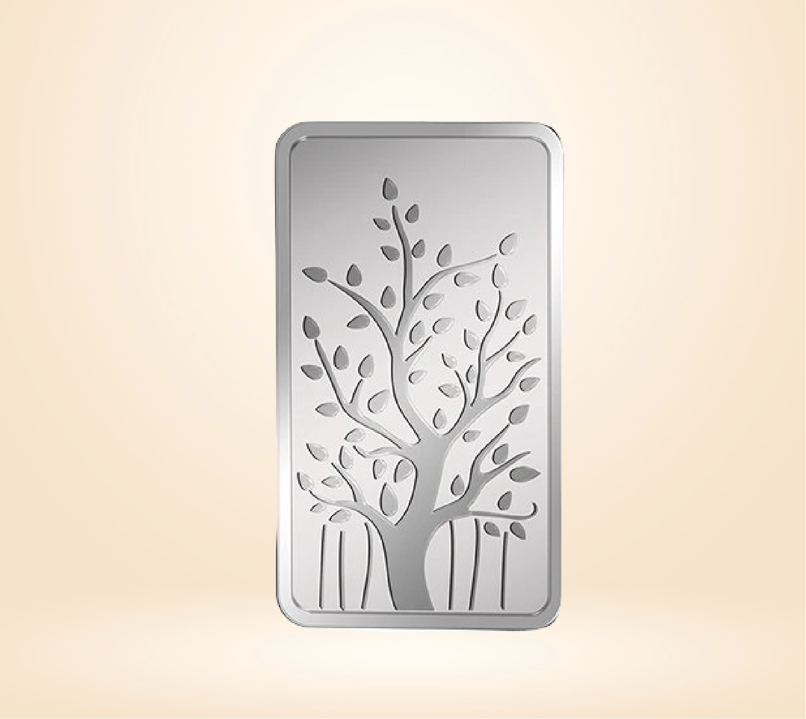 10 Gm Banyan Tree - Image 2