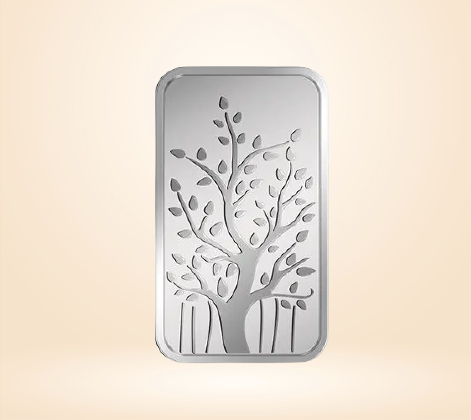 20 Gm Banyan Tree - Image 2